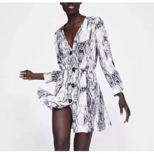 Zara Button Down Skater Dress